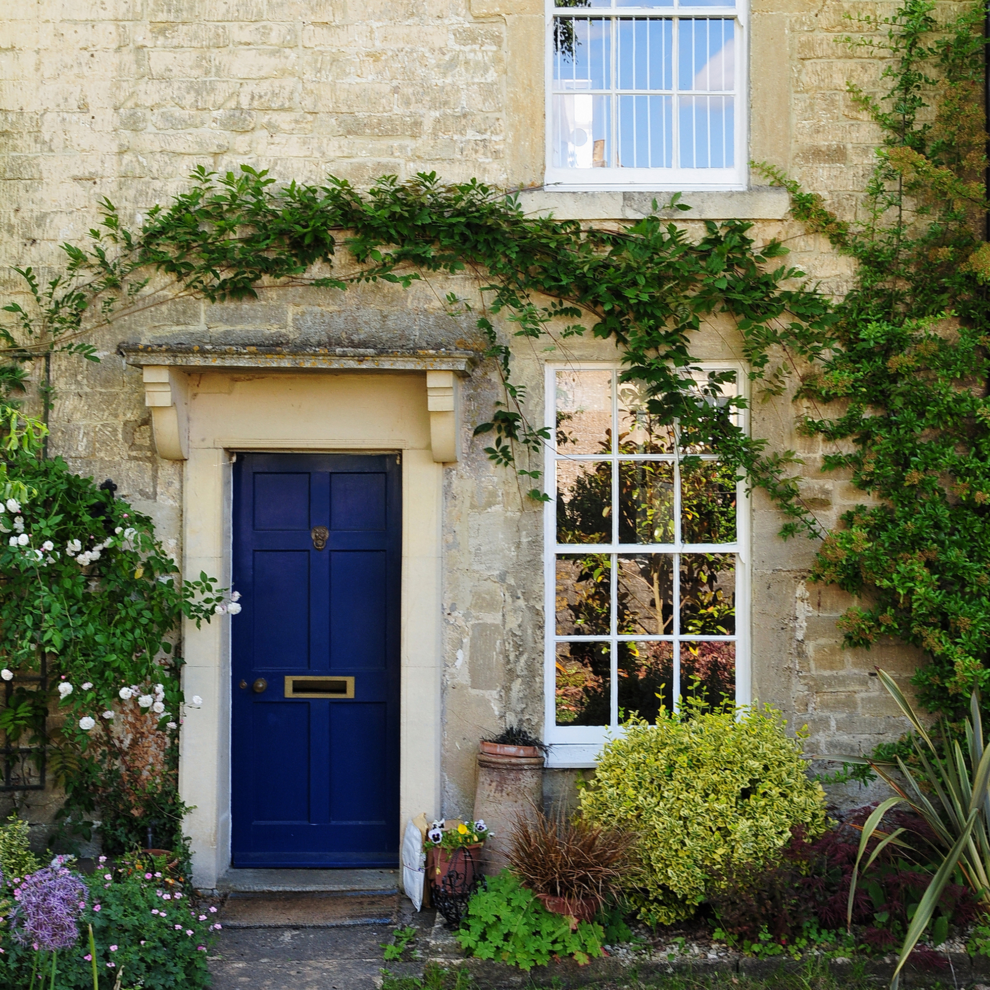 Rumah tertutup Ivy dengan pintu biru